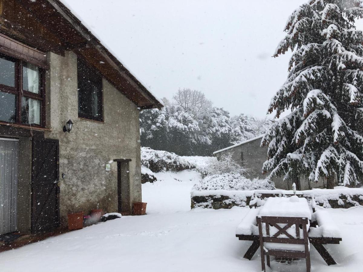 Can Janot Villa Olot Eksteriør billede