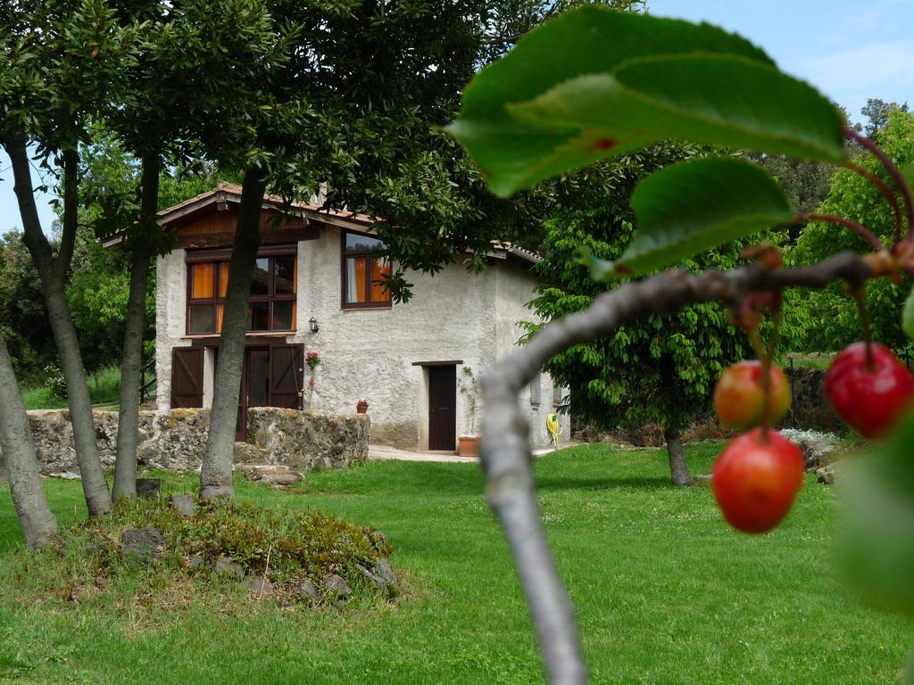 Can Janot Villa Olot Eksteriør billede